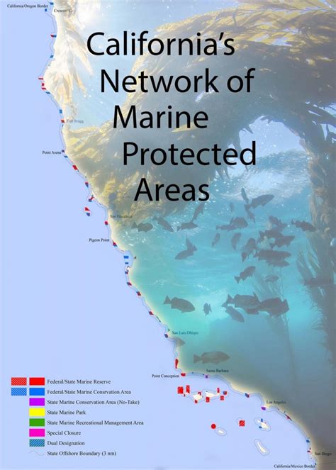 Marine Protected Areas along California’s coast see success in first decade